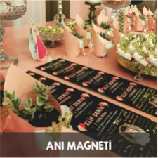 Anı Magneti