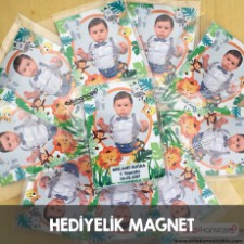 Hediyelik Magnet