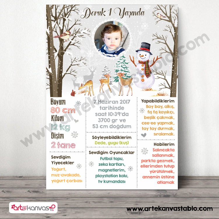 Dogum_gunu_ani_panosu_107_kar_kis_snow_temali-1.jpg 1 Yaş Doğum Günü Anı Panosu Kış Kar Snow Konsept 0107 - Görsel 1