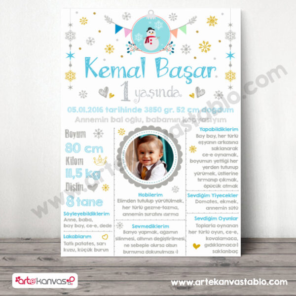 1 Yaş Doğum Günü Panosu Kar Temalı 071